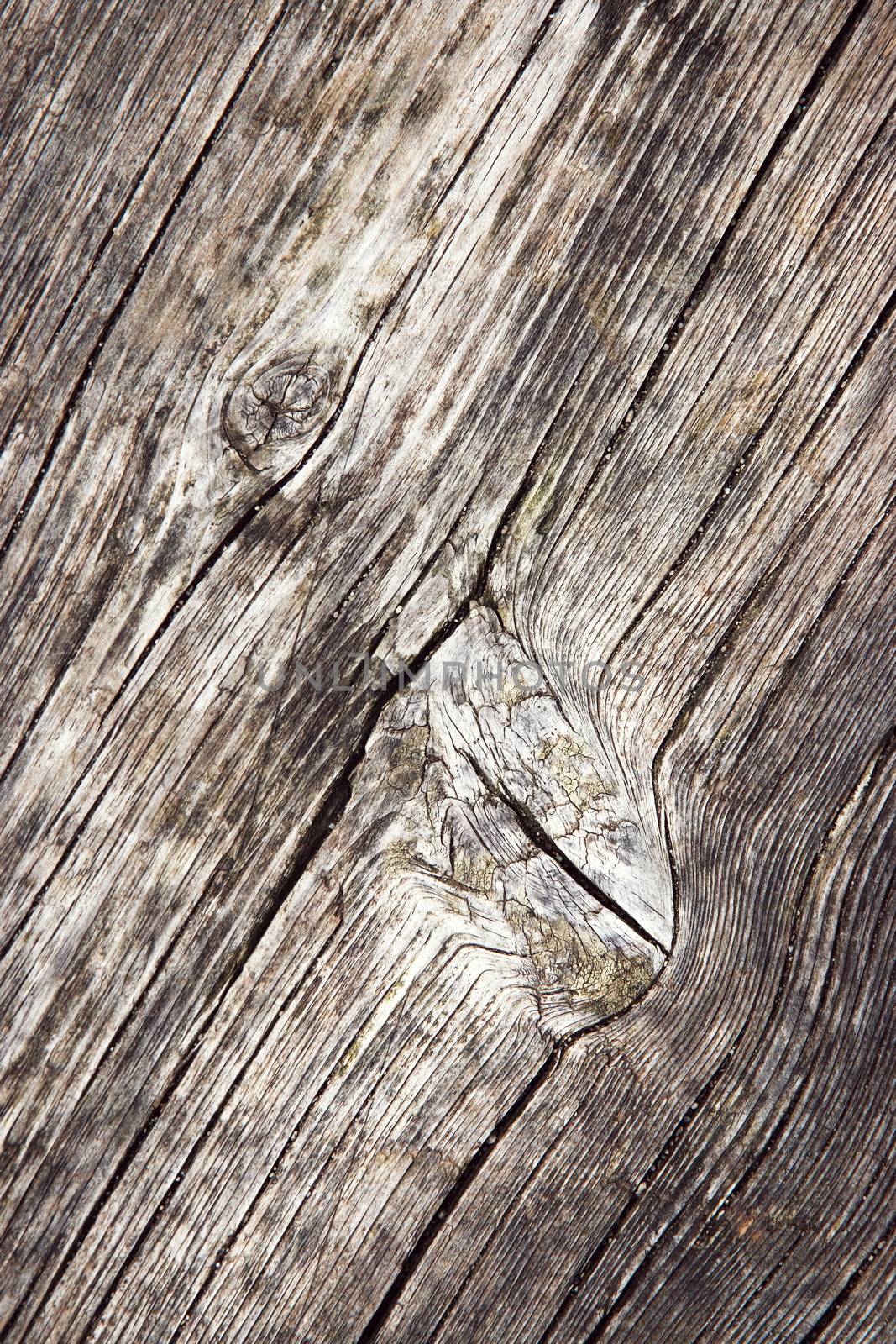 bump shapes on old weathered wood by Ahojdoma