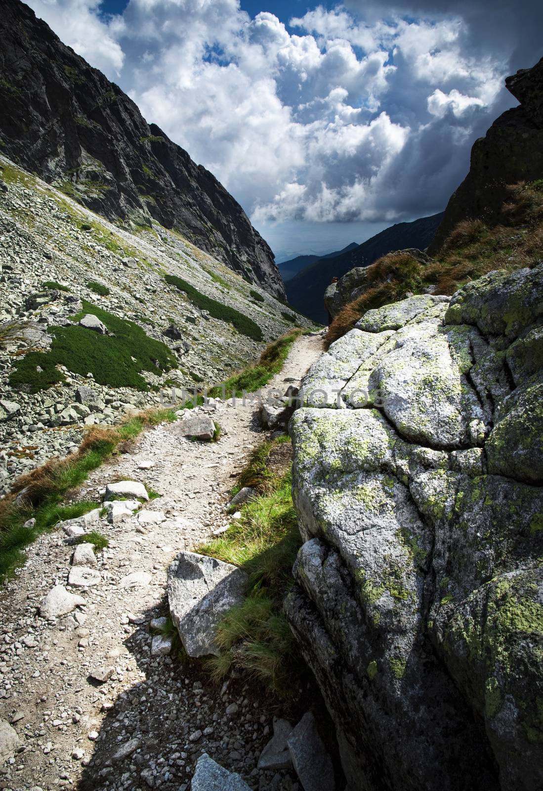 nature landscape background stone path toward the valley