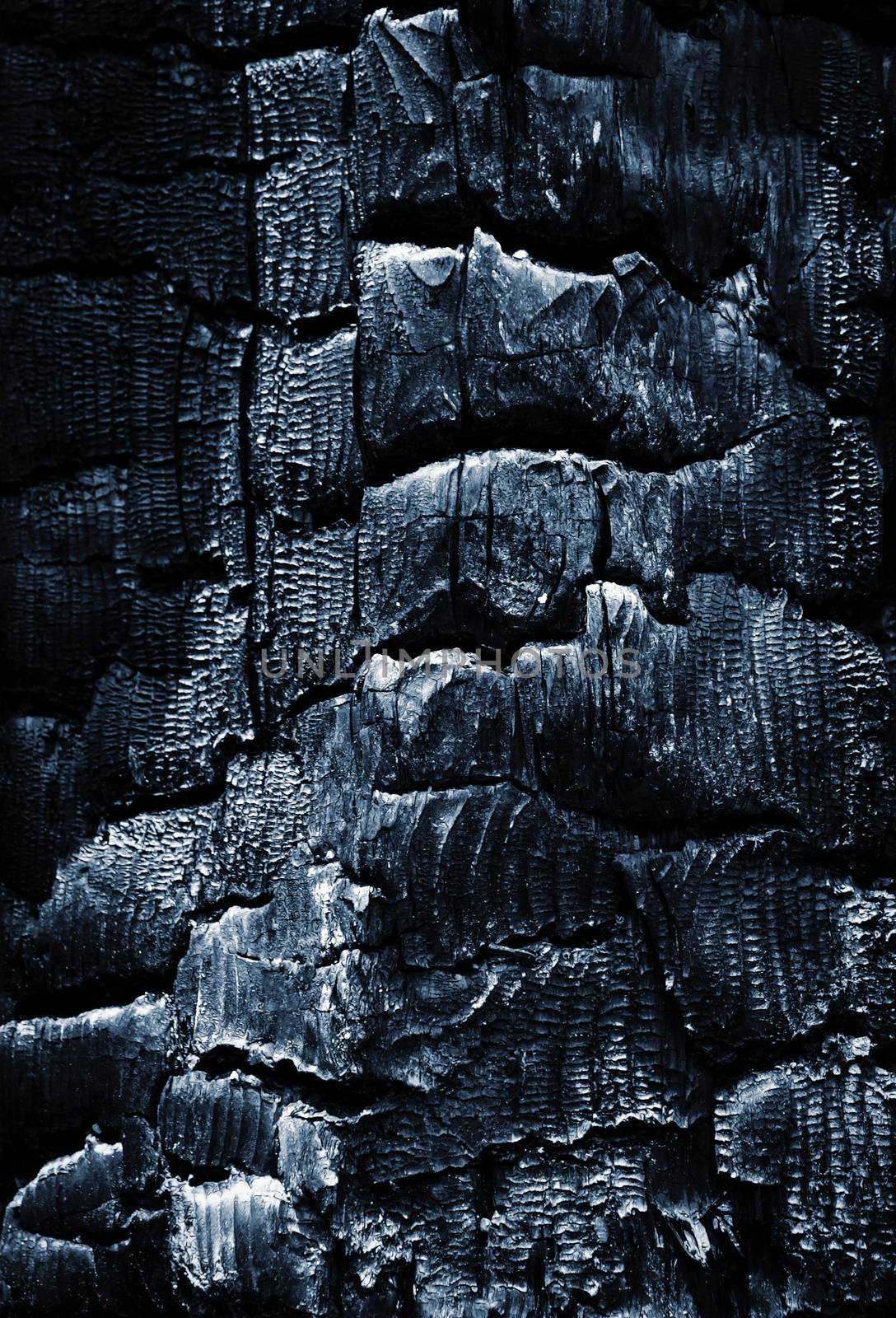 dark detail of burned wood by Ahojdoma