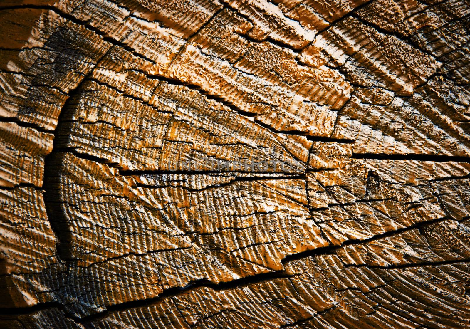 abstract background or texture detail of painted wood with a crack