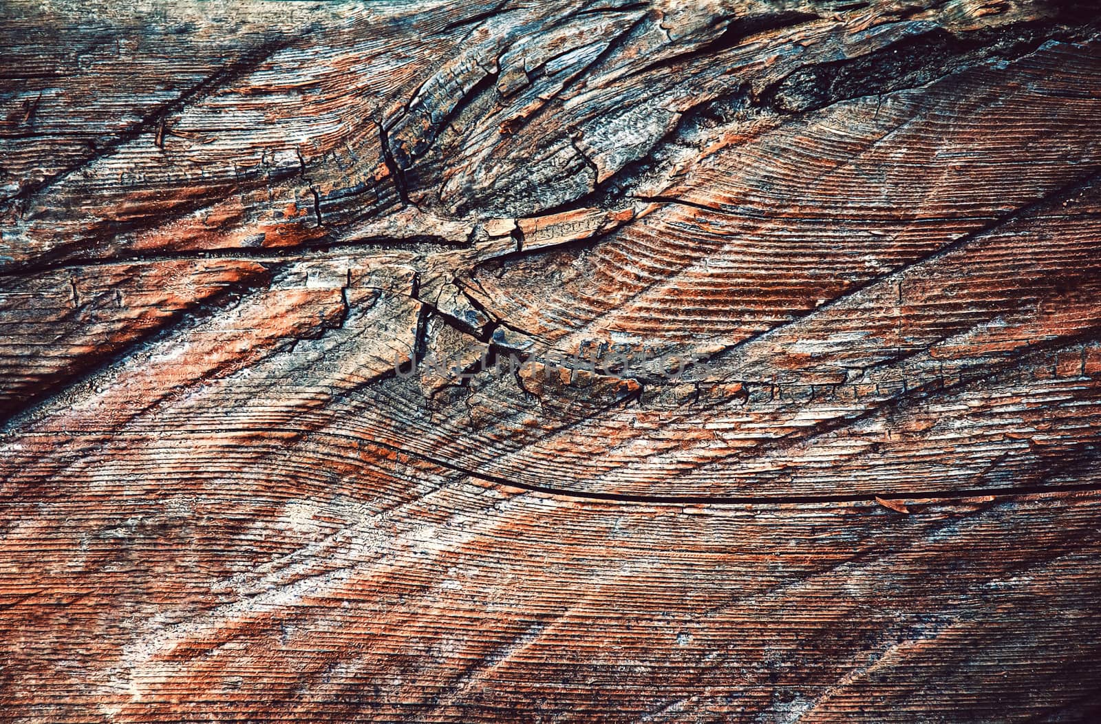 detail of old shredded wood by Ahojdoma