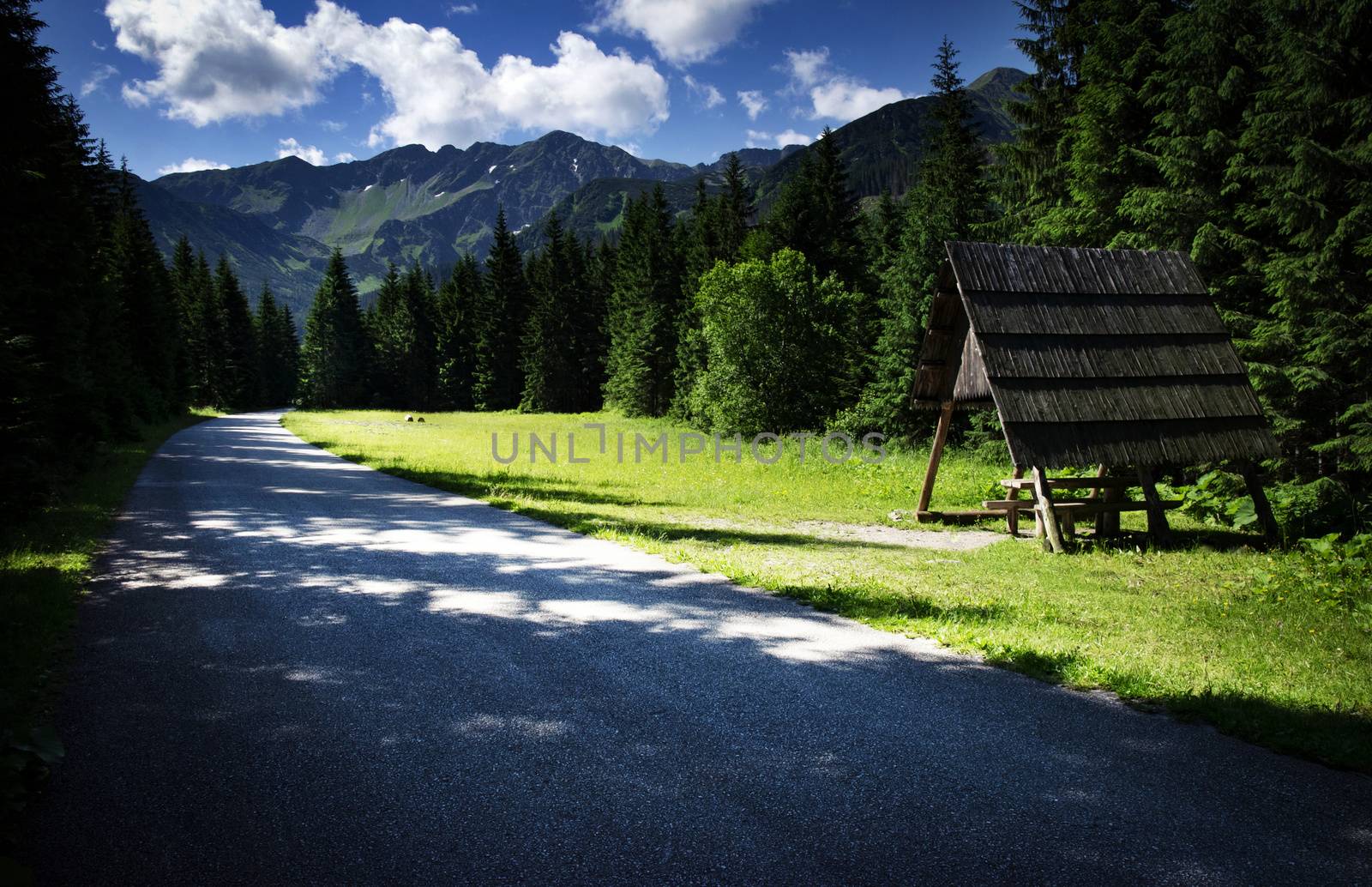 landscape background sun in the mountain country