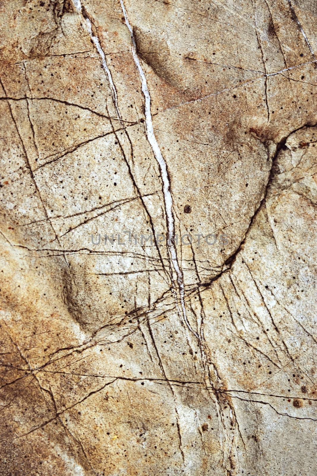 background or texture Detail of an old limestone surface