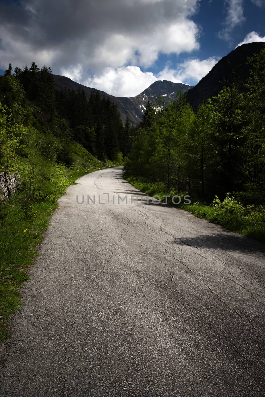 landscape seasonal background a gray path to the high mountains