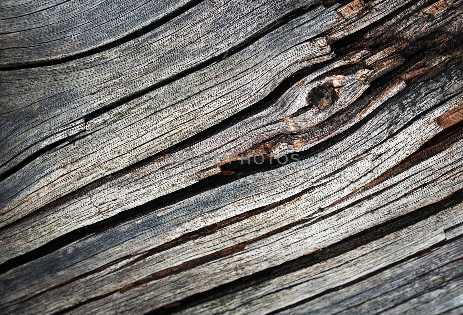 abstract detail on old wood by Ahojdoma