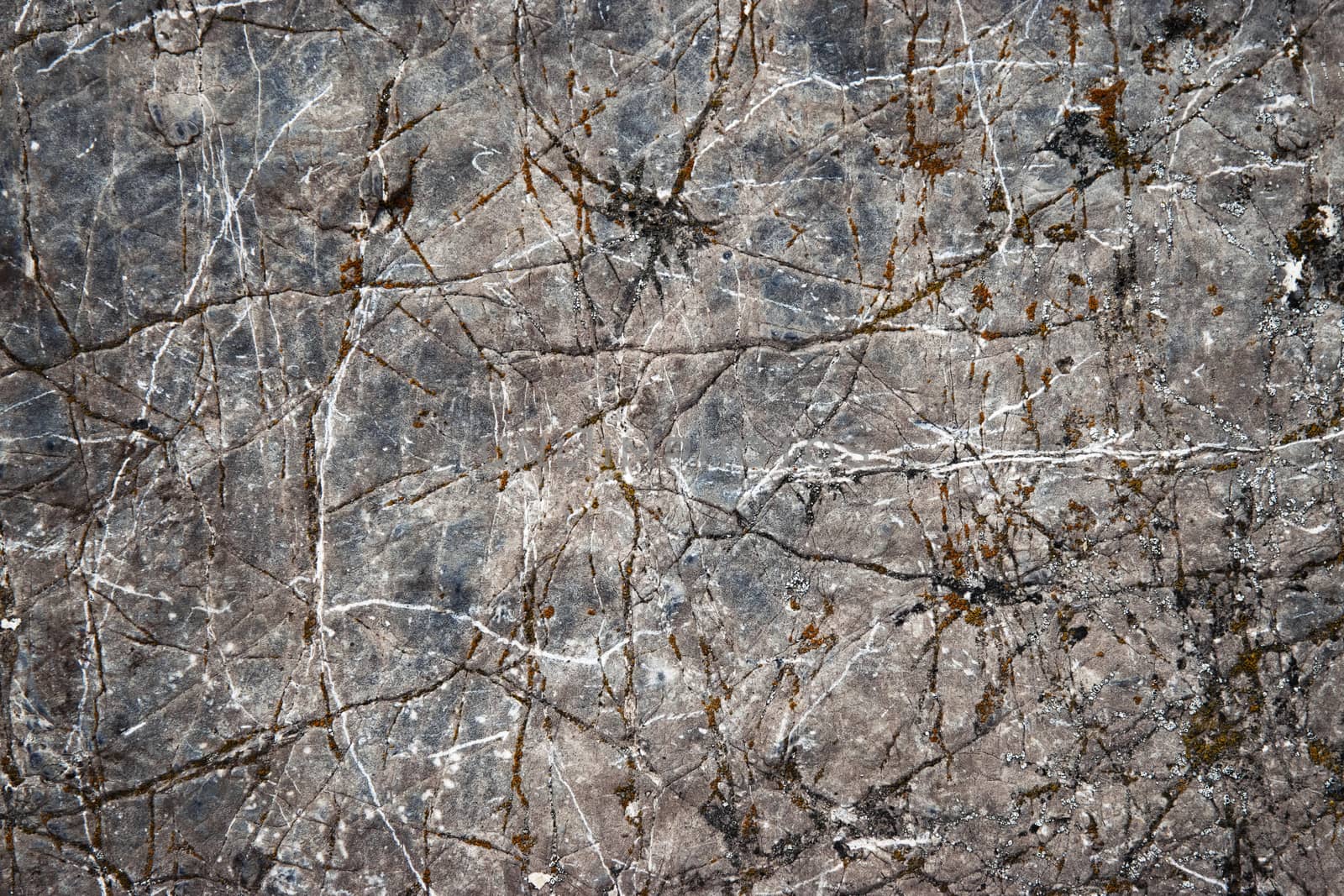 dark abstract surface of mountain limestone by Ahojdoma