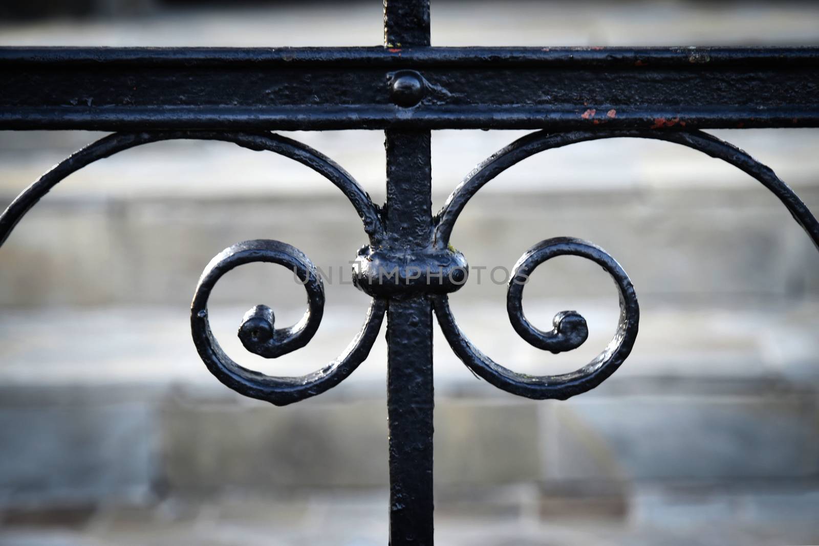 detail of forged black gate by Ahojdoma