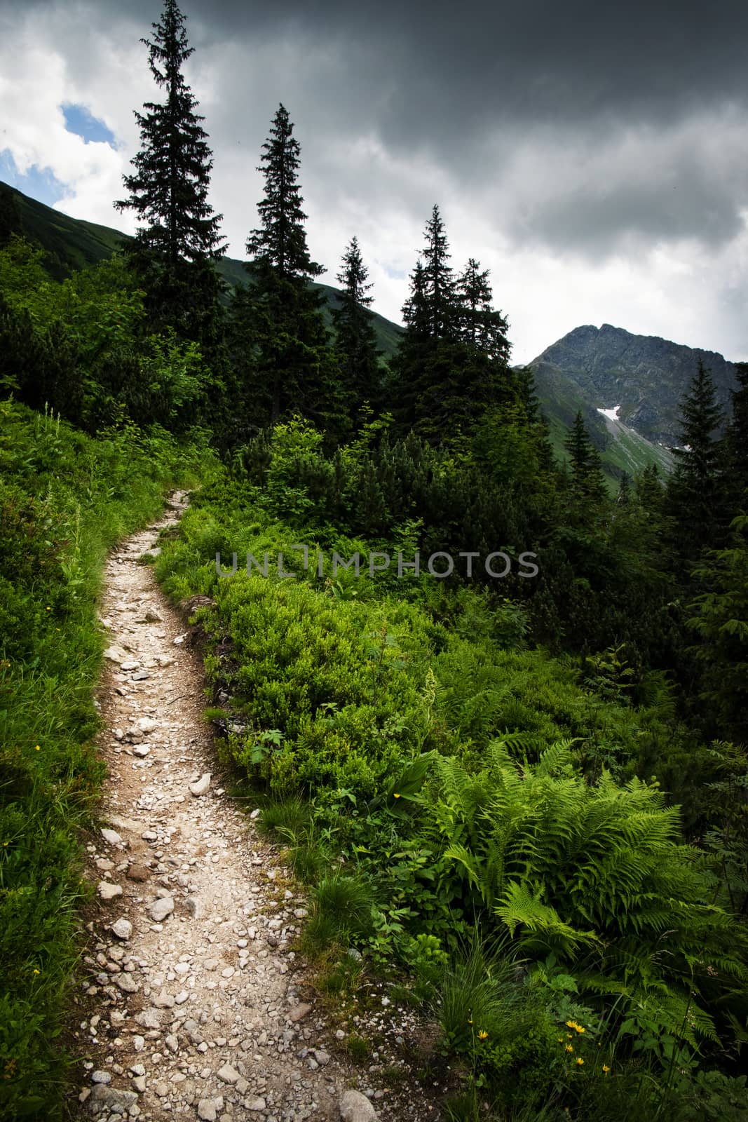 Landscape trail up to the peak by Ahojdoma