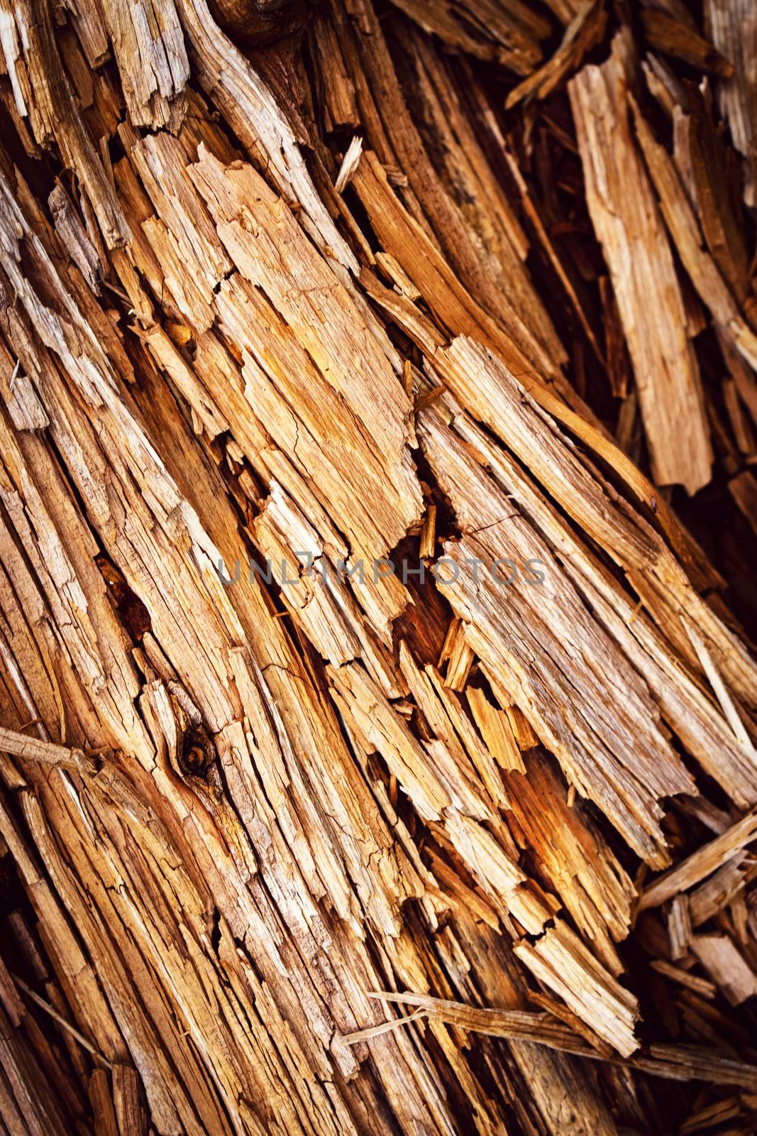 abstract background or texture broken rotten wood