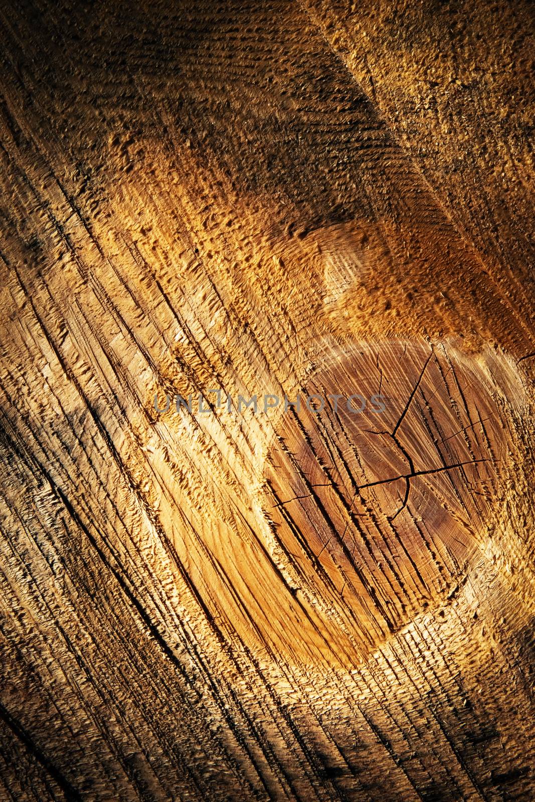 background or texture surface abstract to sawing wood