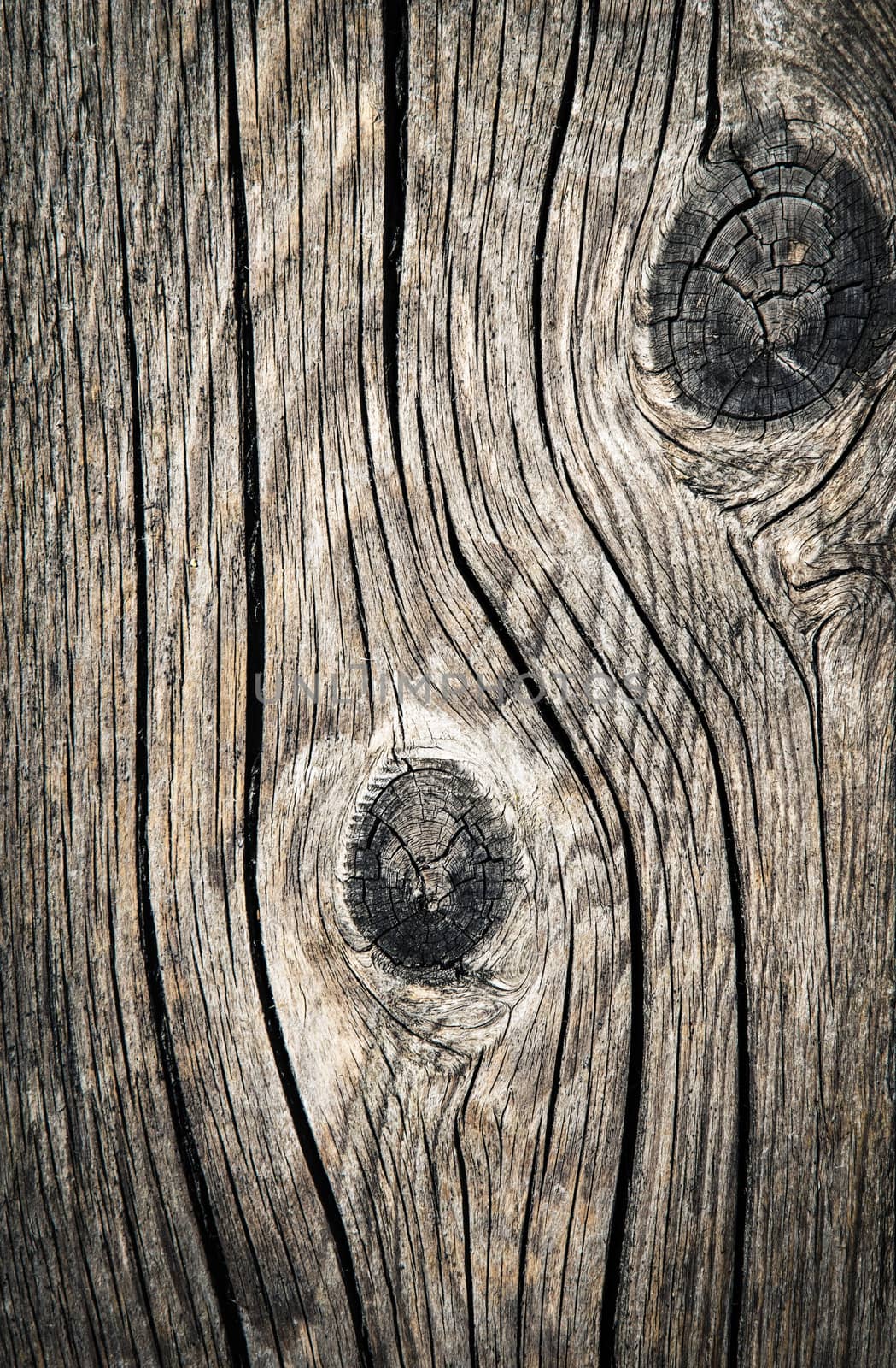 abstract background or texture detail of old wooden board with a bump