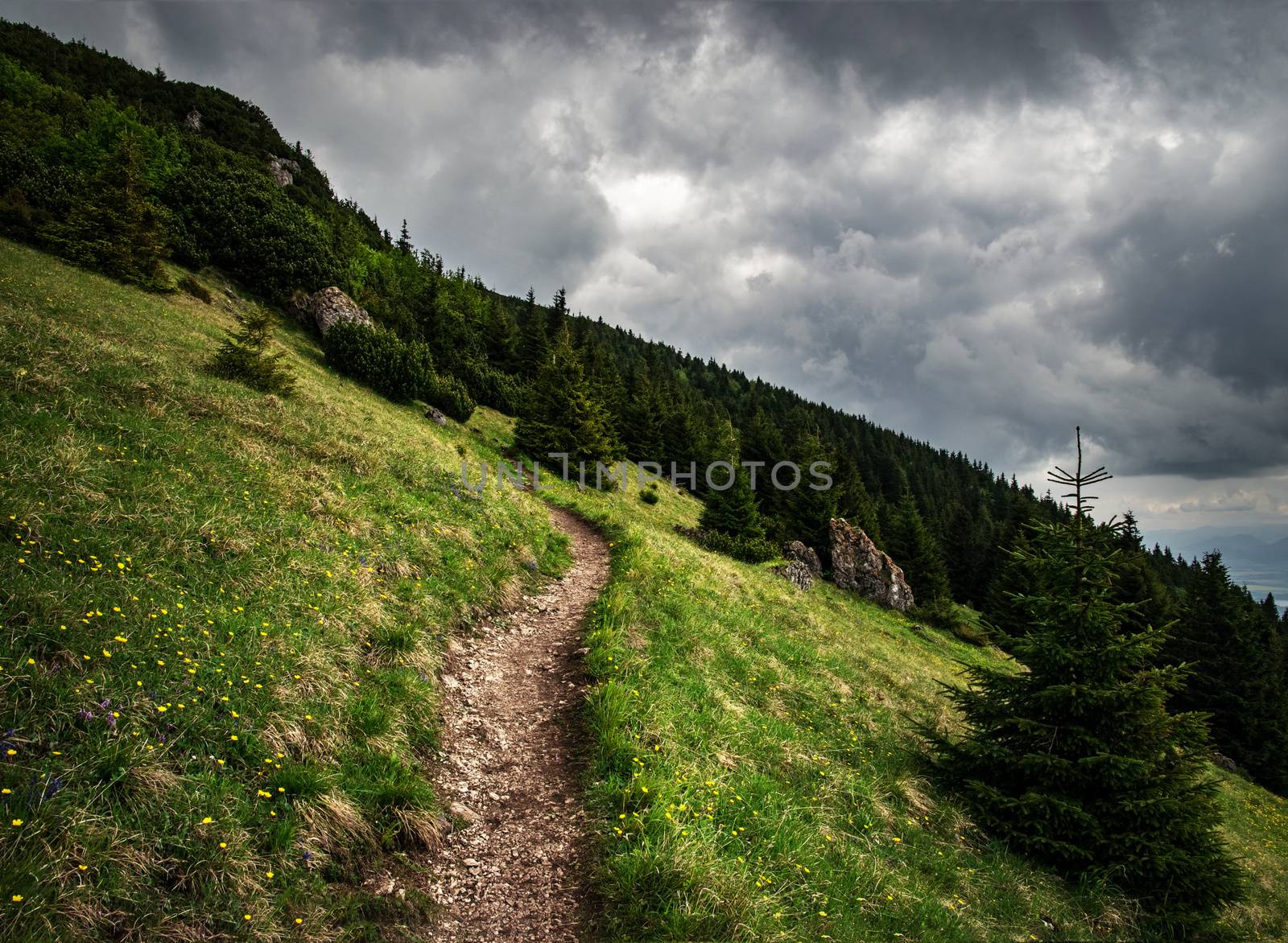 mountain trail up the steep meadow by Ahojdoma