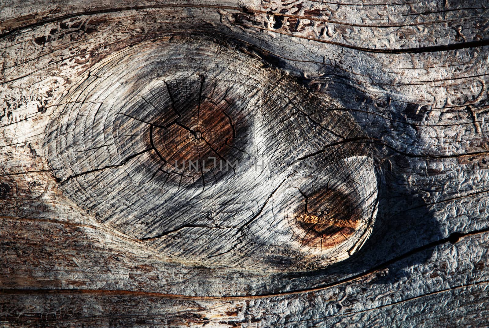 abstract background or texture Two knot on wood