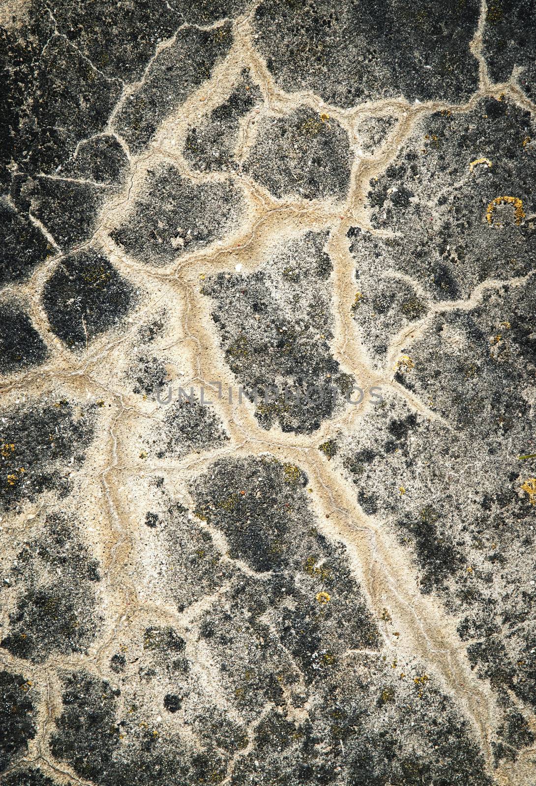 abstract background or texture detail on an old wall with a crack