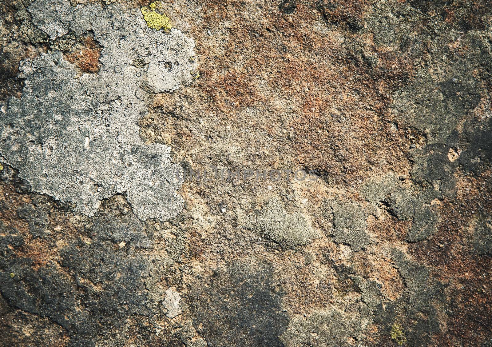 dark sandstone surface with moss by Ahojdoma