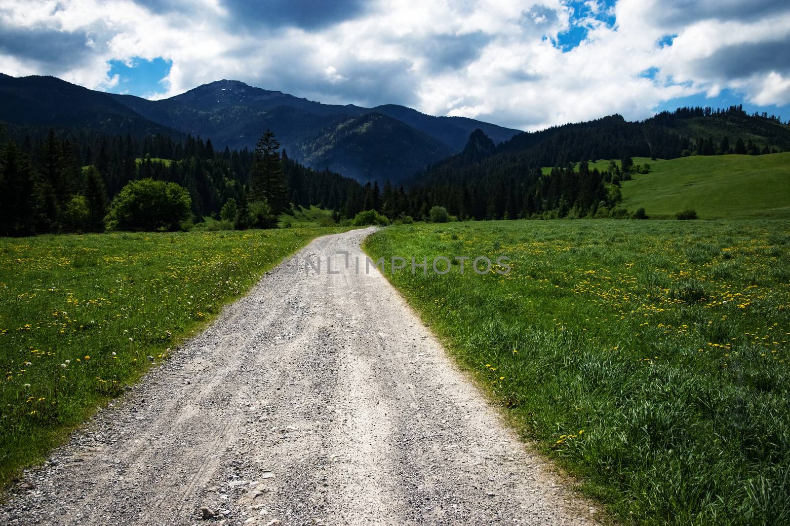 a stone path through the countryside into the forest by Ahojdoma