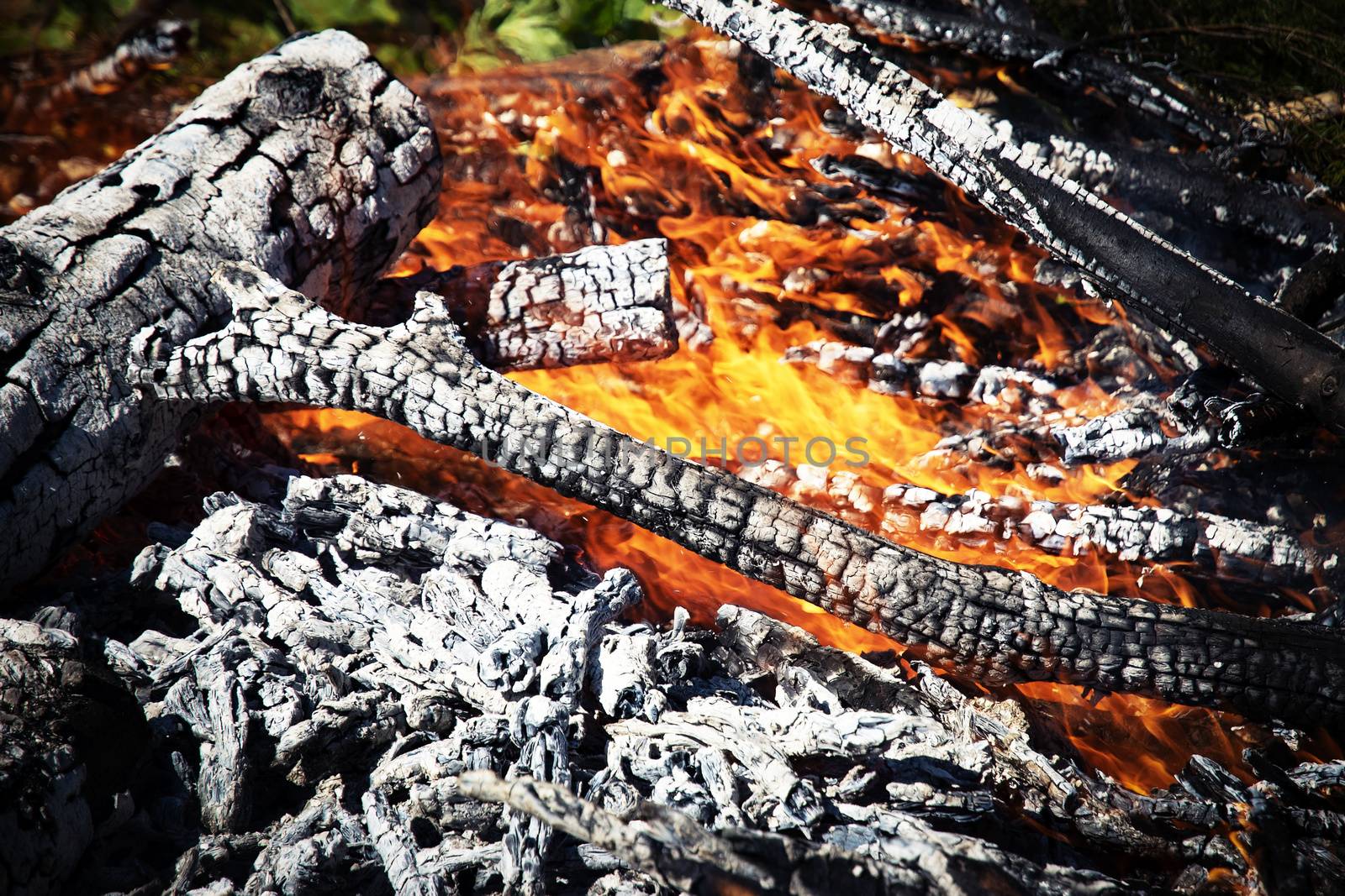 abstract background or texture Detail view of burning wood