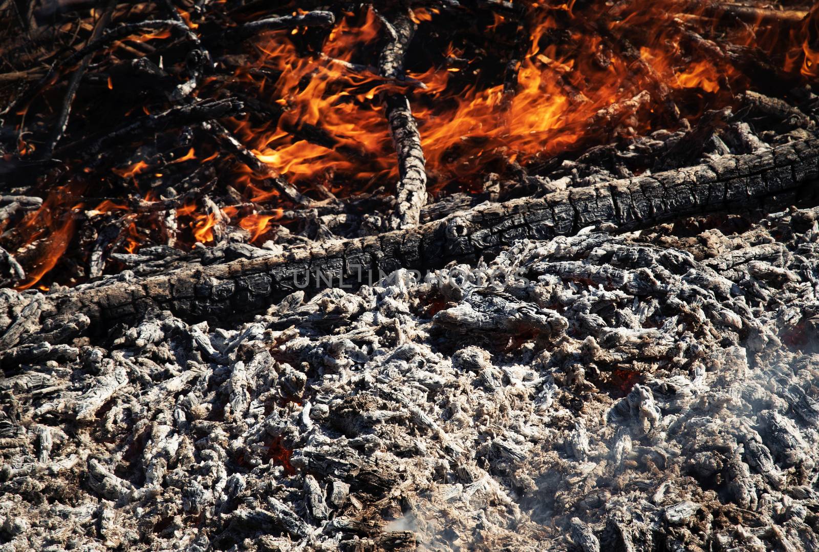 detail on ash and burning wood by Ahojdoma