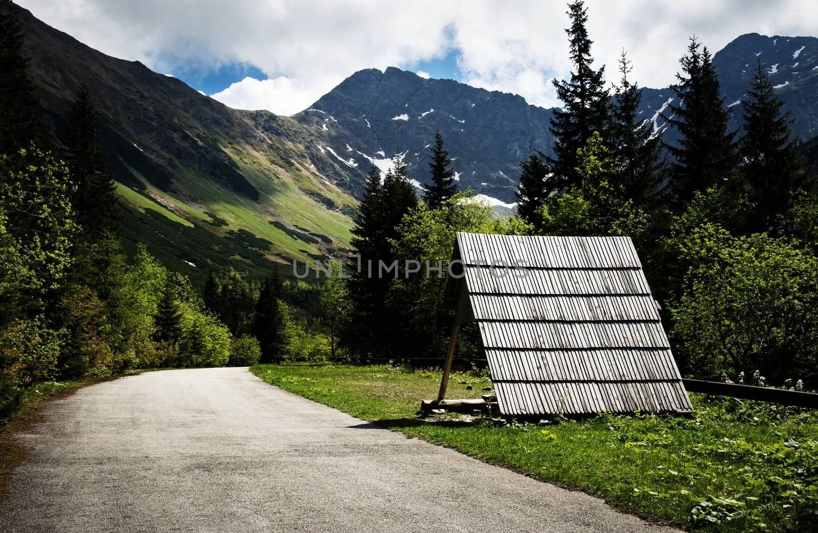 spring mountain scenery with a peak by Ahojdoma