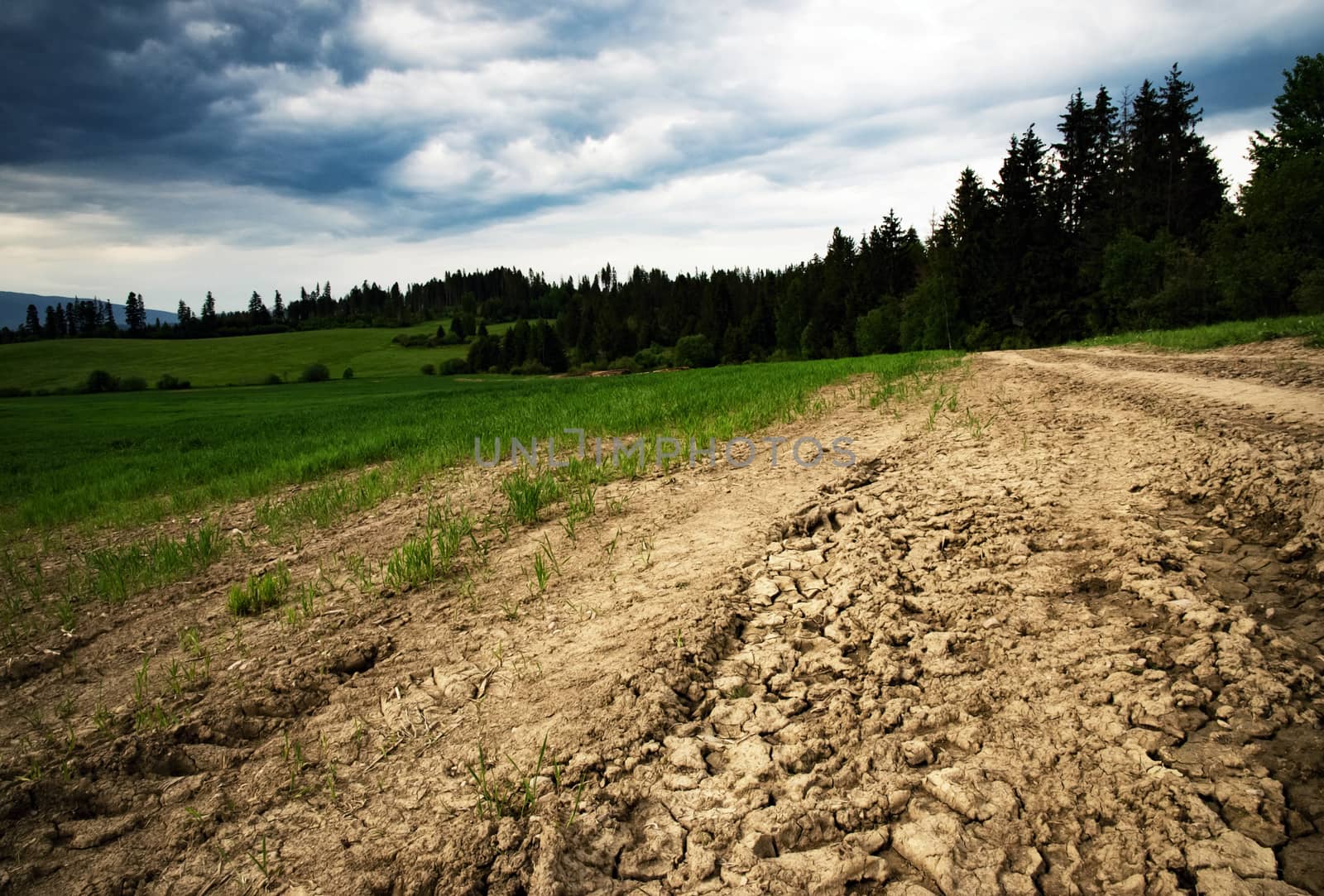nature background clay path in front of the countryside