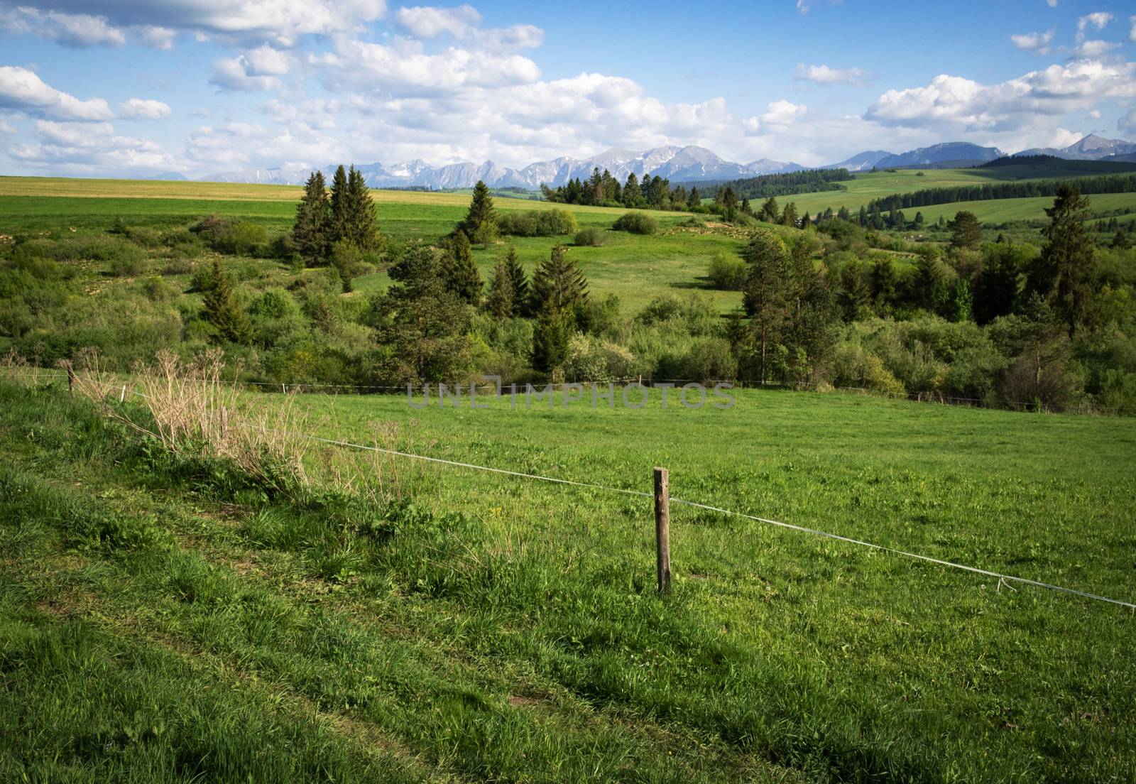 nature seasonal background mountain scenery with meadows