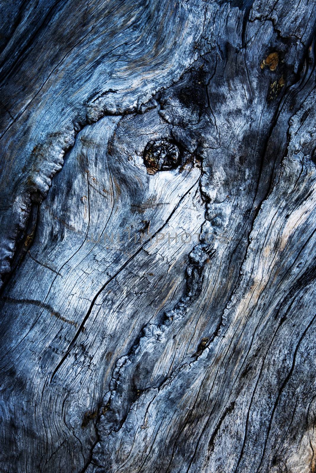 abstract shape on old wood by Ahojdoma