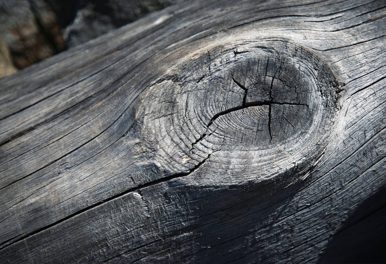 detail gray weathered wood with knot by Ahojdoma