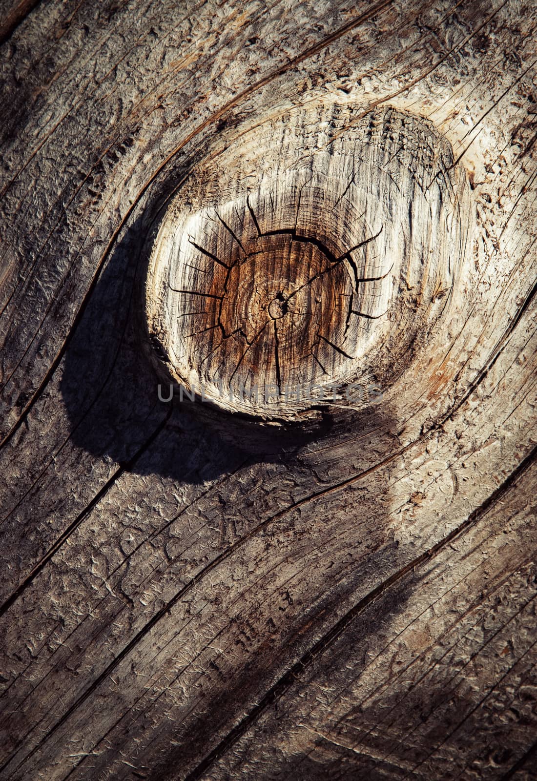 detail on the bump of old wood by Ahojdoma