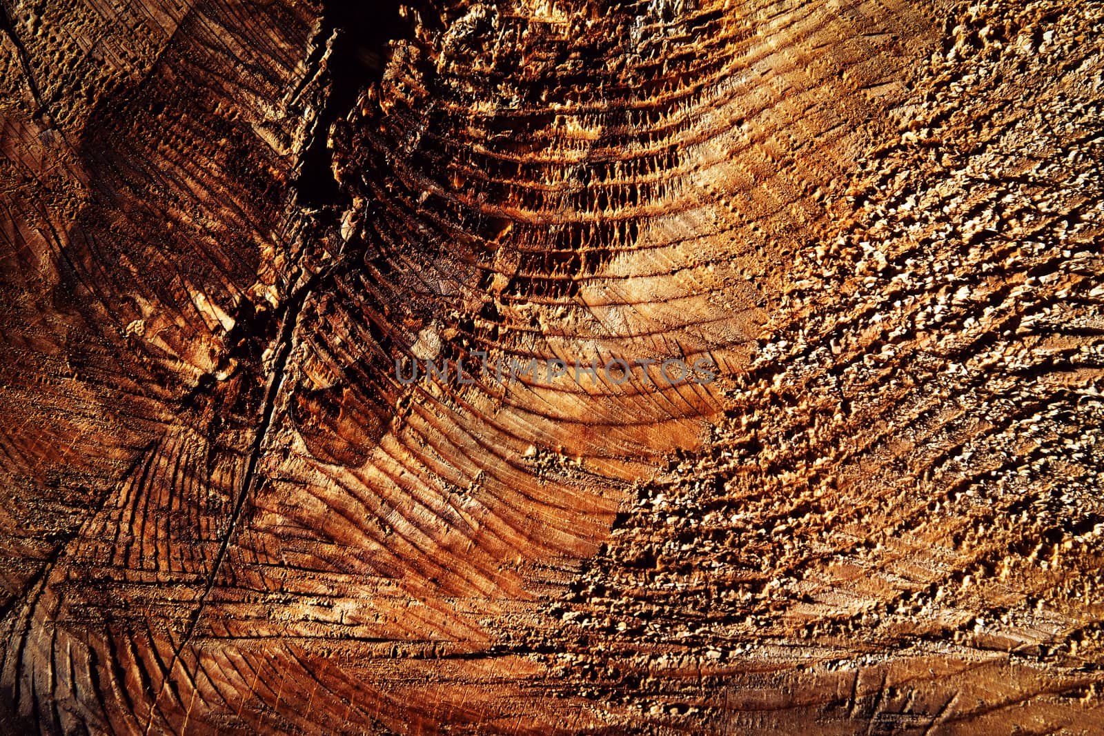 abstract detail on old wood by Ahojdoma