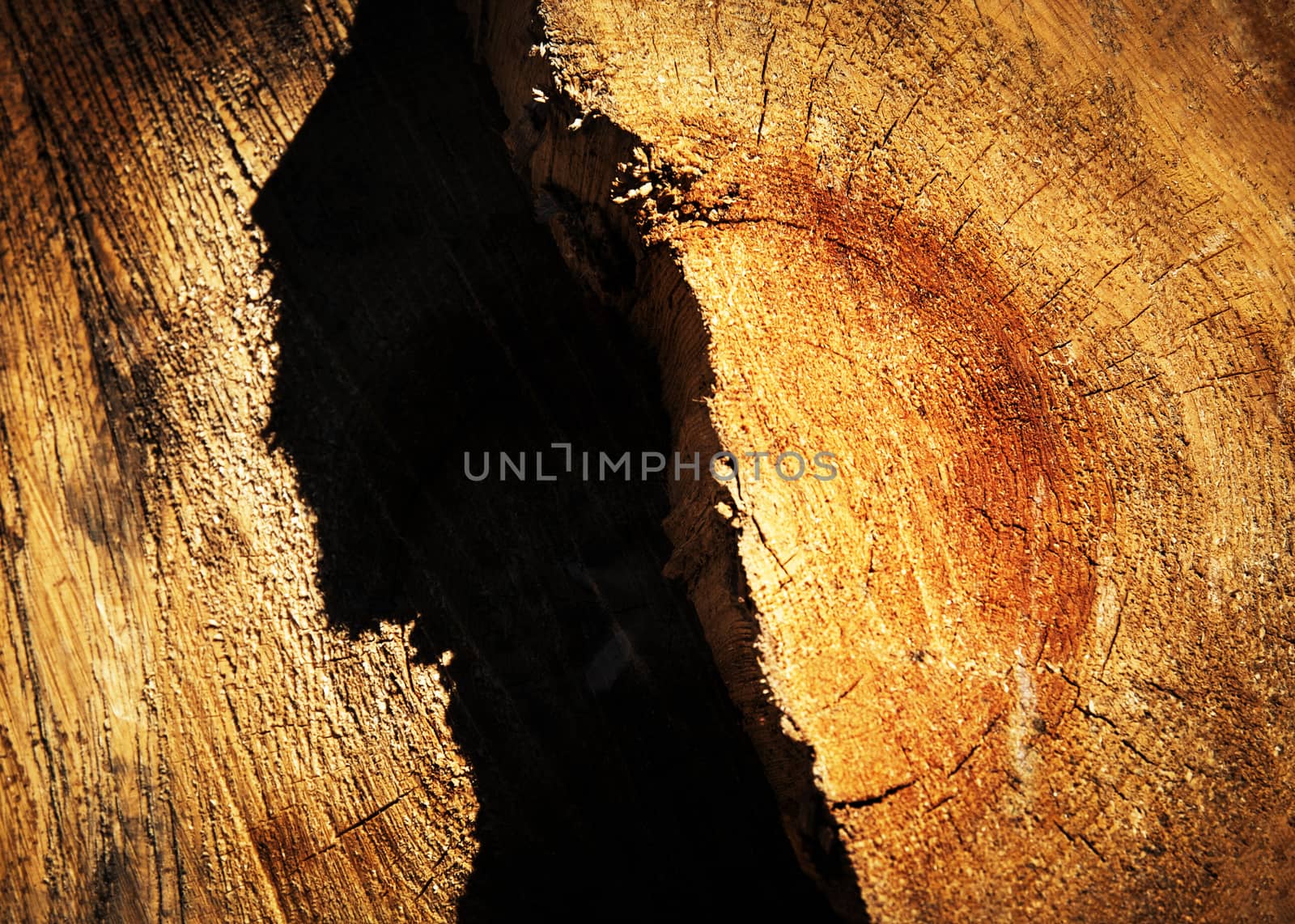 abstract shadow on the old stump by Ahojdoma