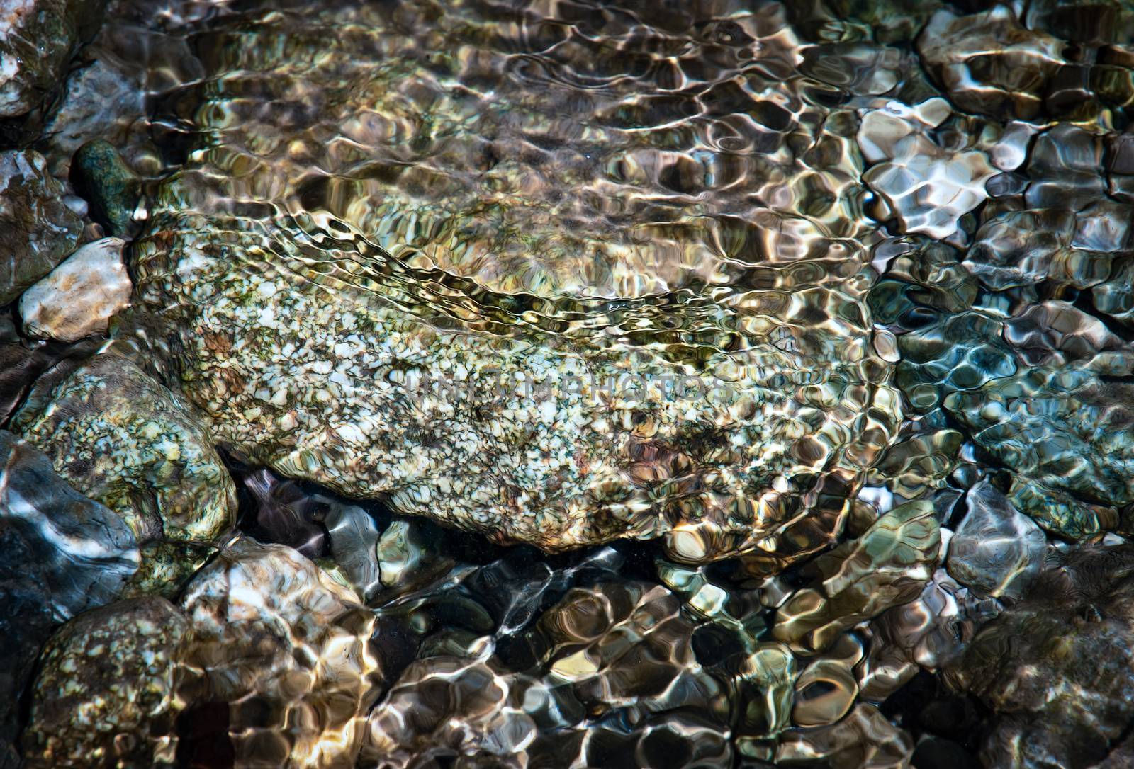 nature background stones in clear streams river