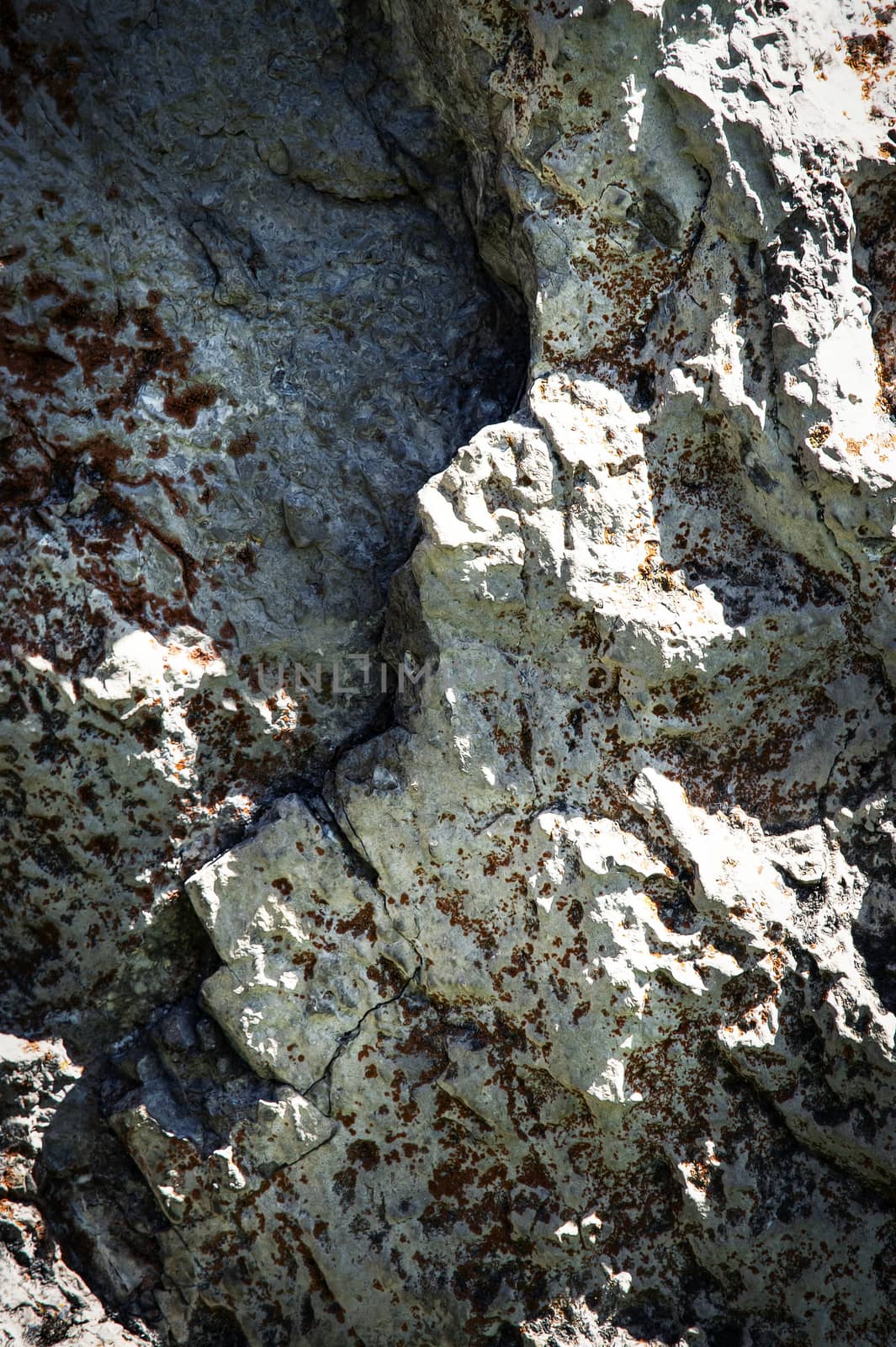 abstract detail of the old limestone rocks by Ahojdoma