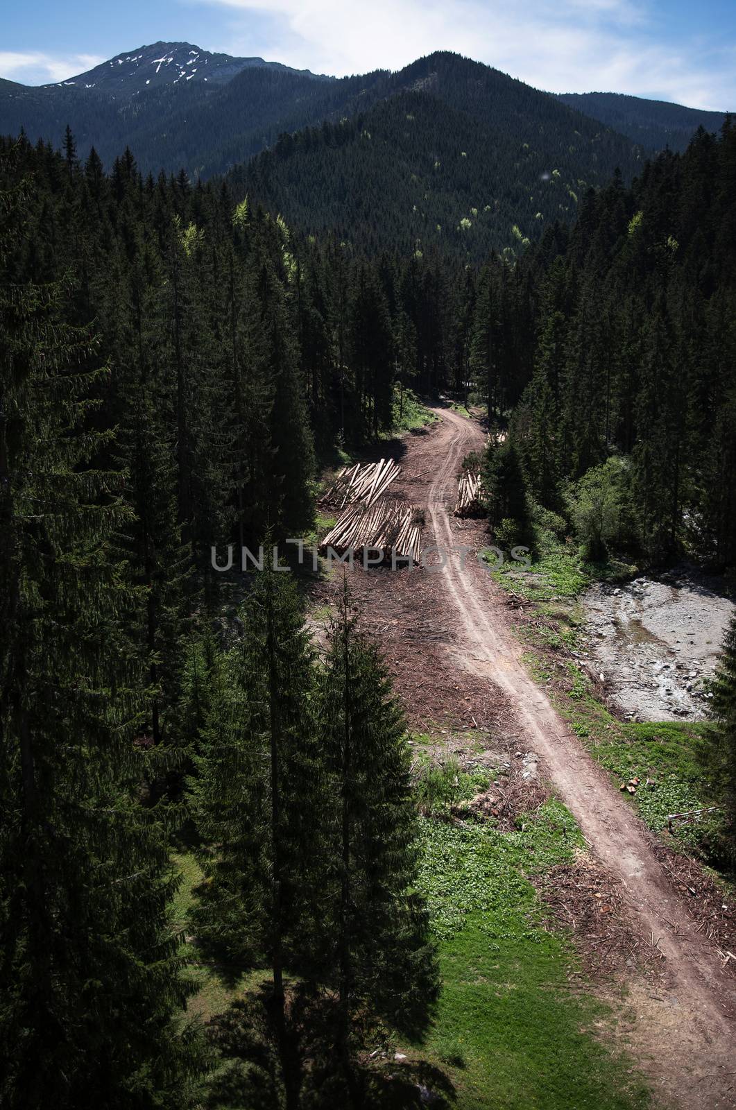 view from above on the forest road by Ahojdoma