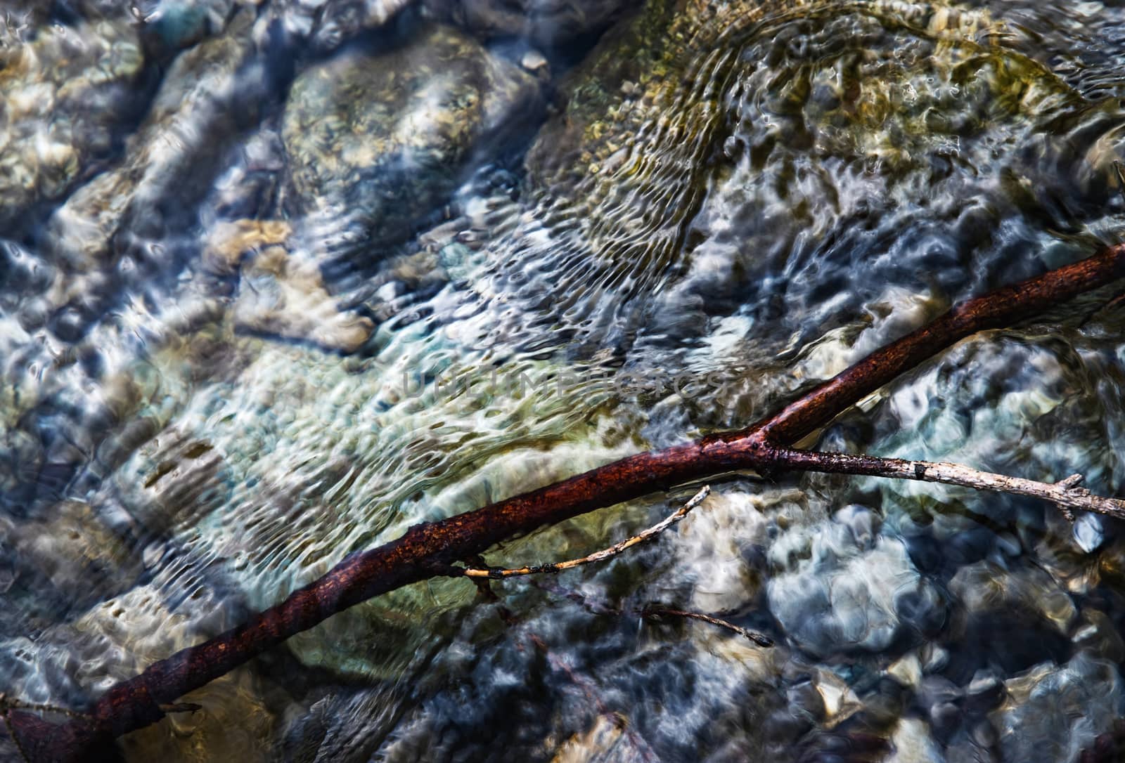 clear water level with twigs by Ahojdoma