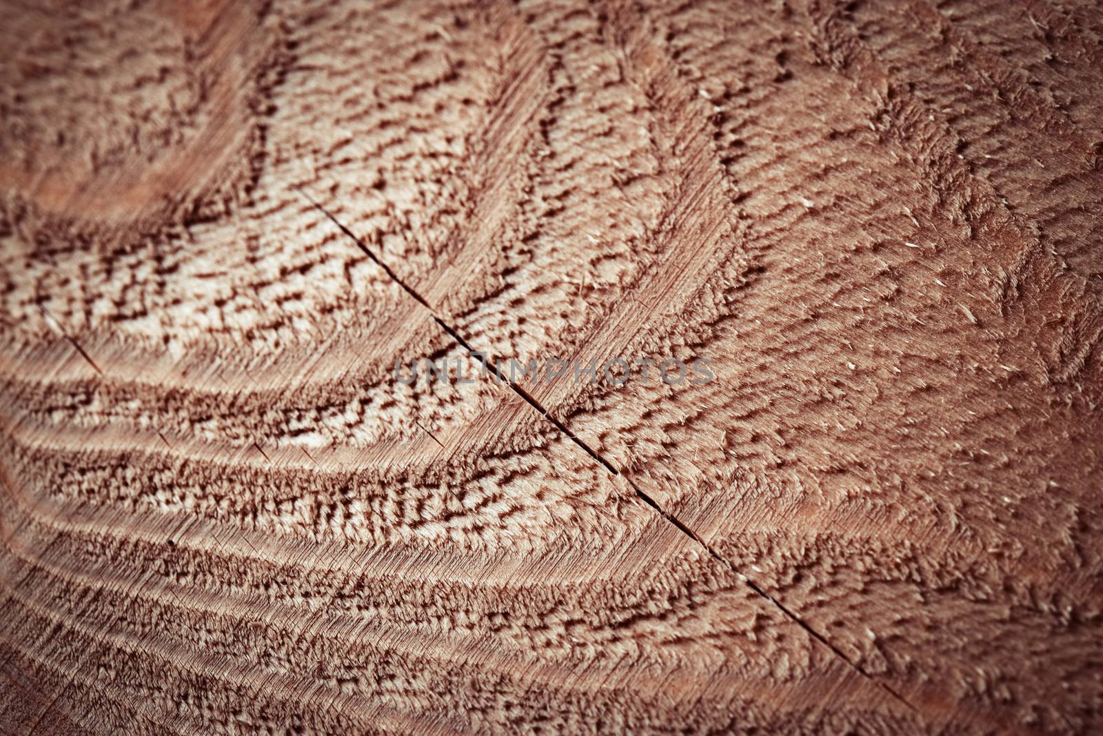 background or texture detail of roughly dirty wood board