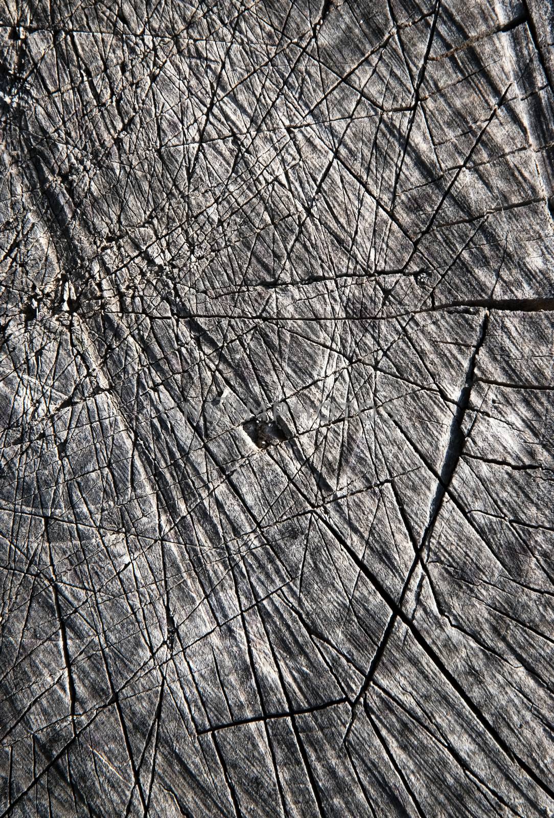 abstract close-up scratches on wood by Ahojdoma