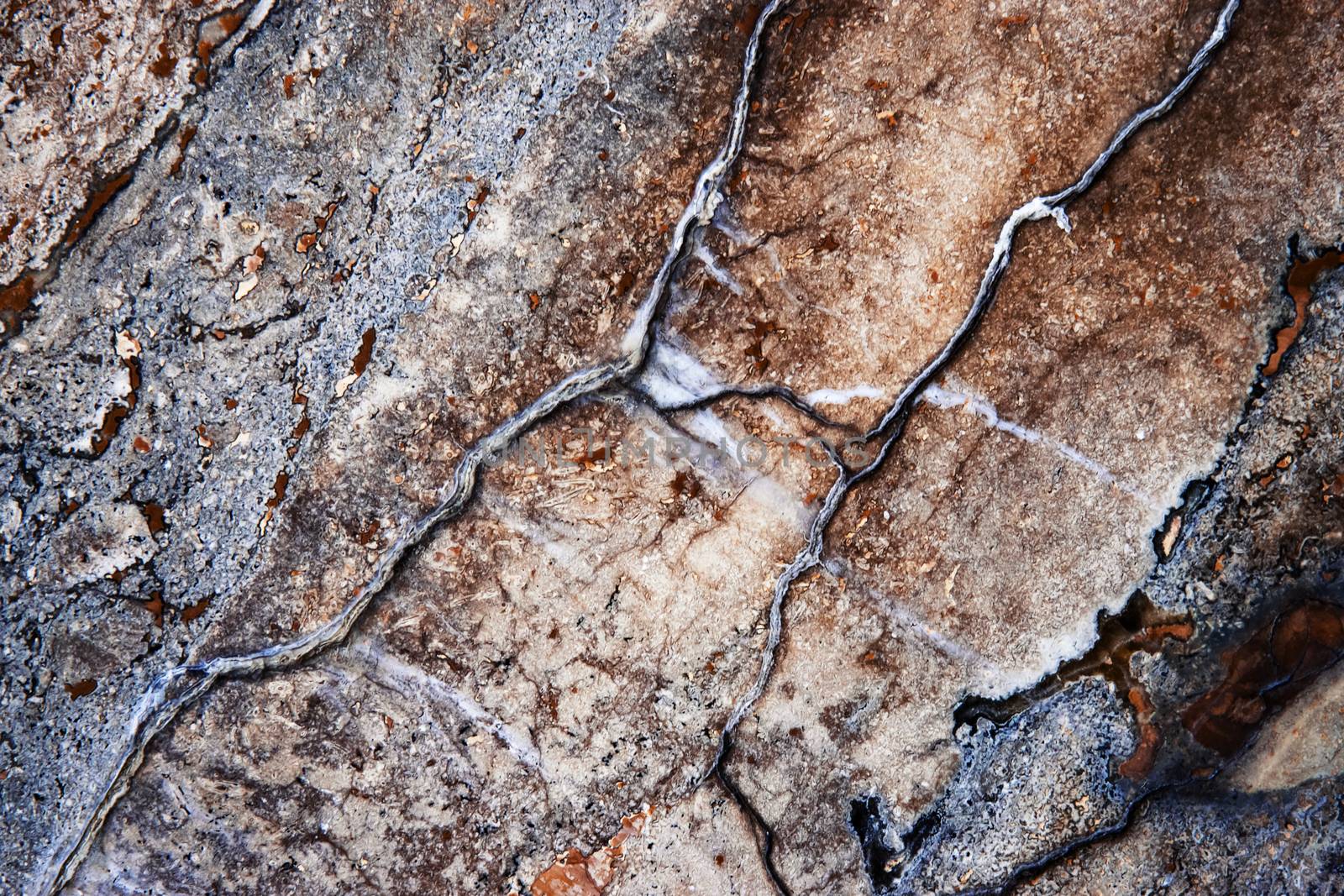 detail on the polished stone by Ahojdoma