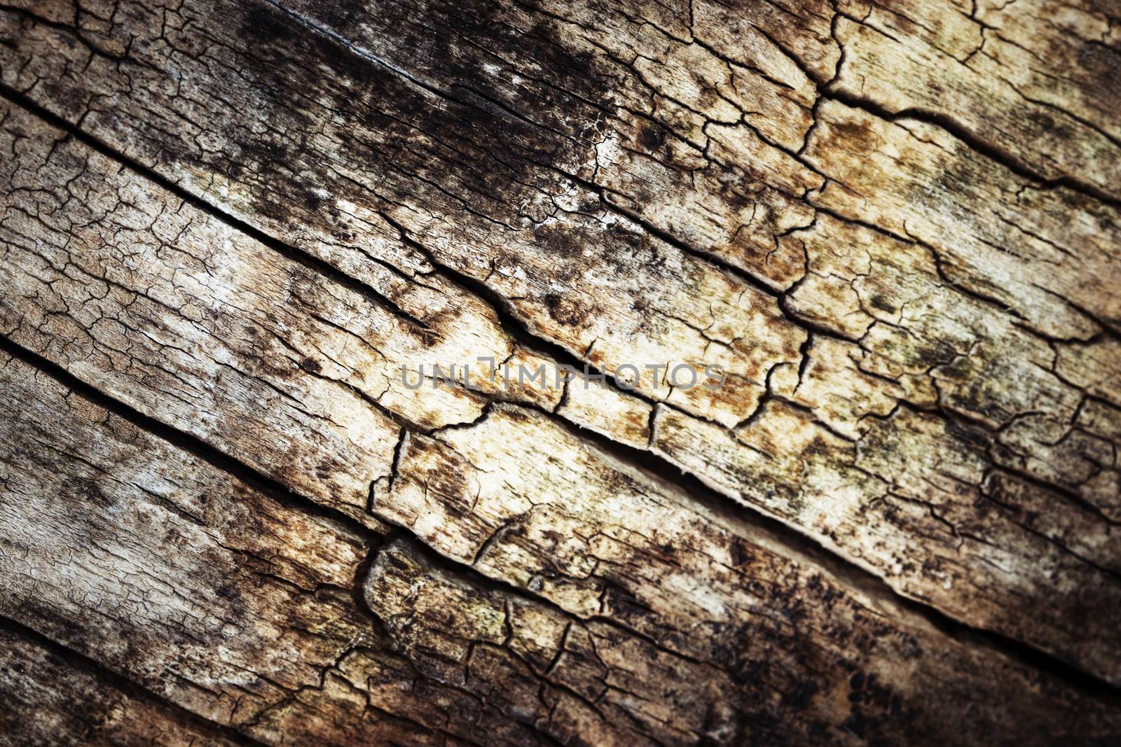 abstract background or texture old rotten wood