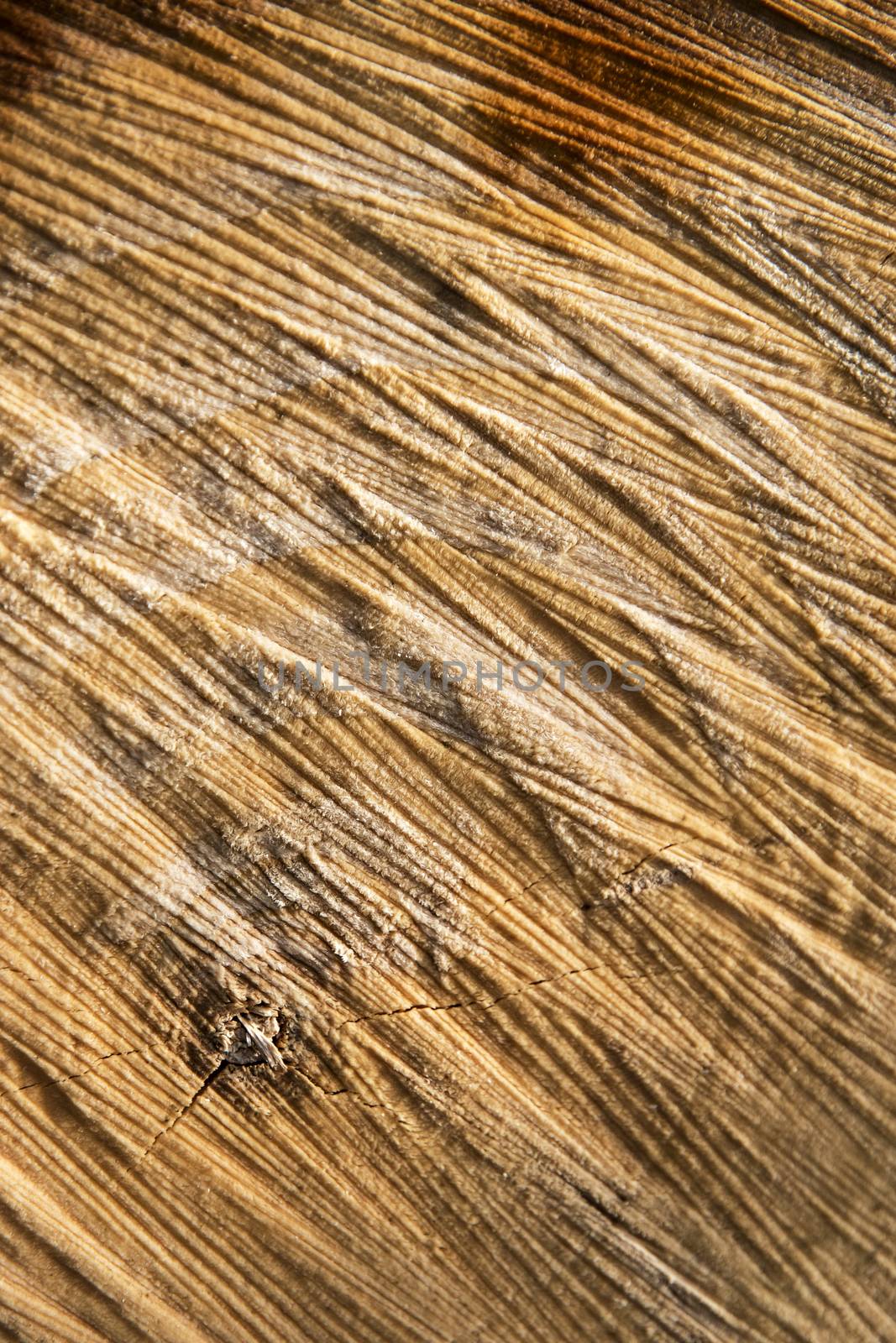 background or texture abstract grooves for cutting wood