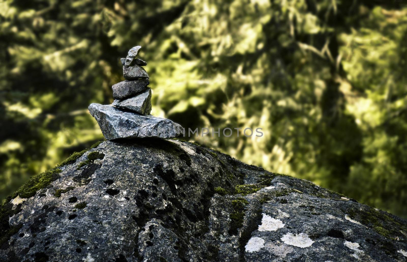 nature background stone man tourist sign