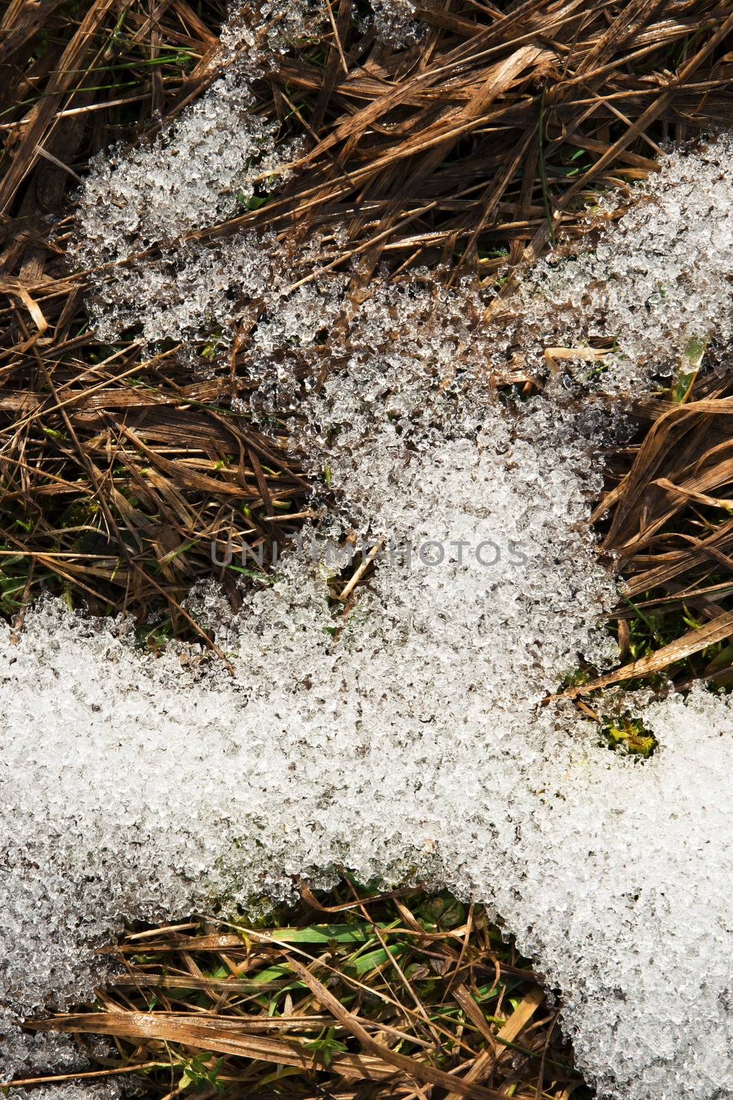melted snow on dry grass by Ahojdoma