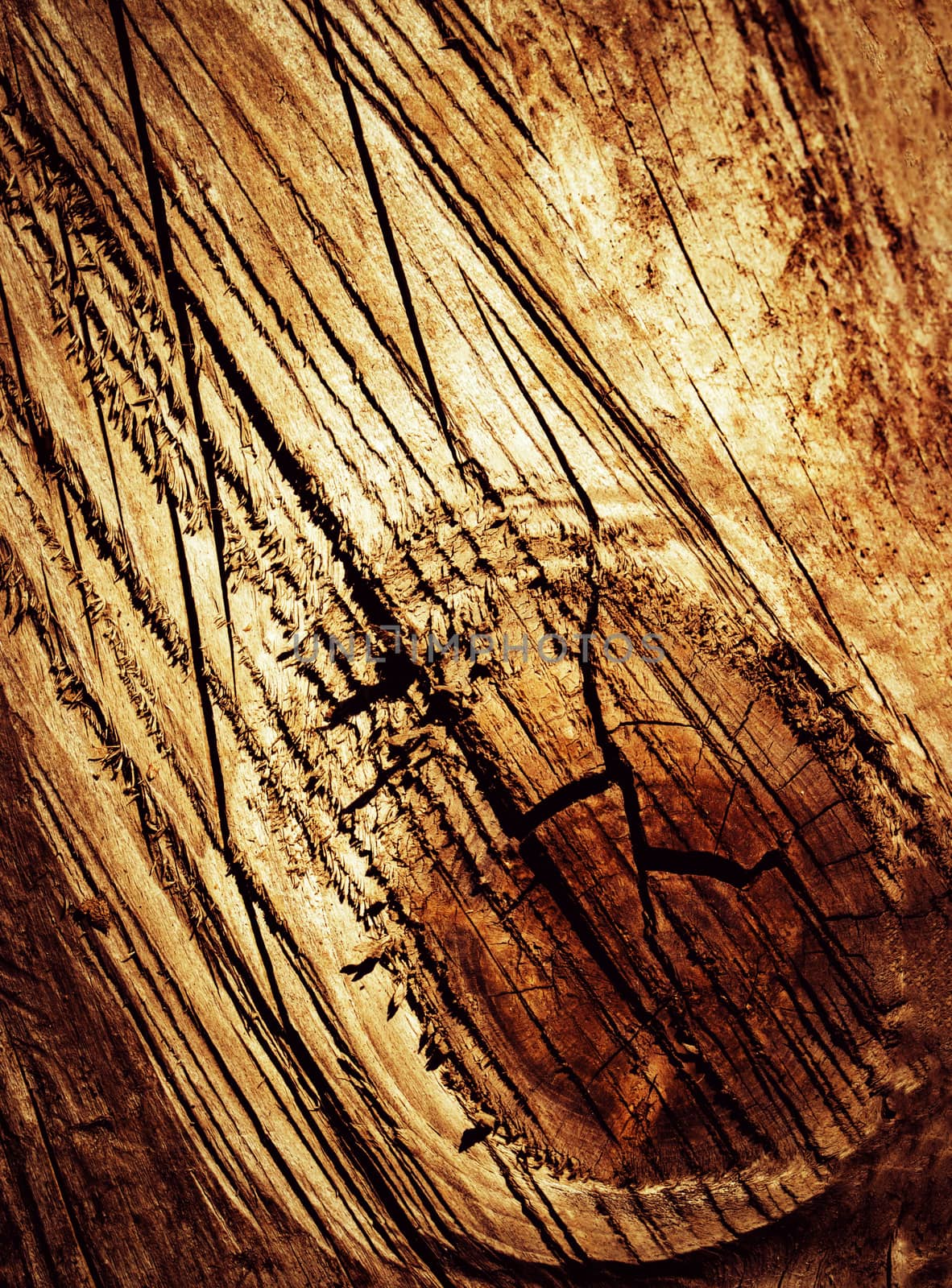 abstract background or texture cut scratched wood