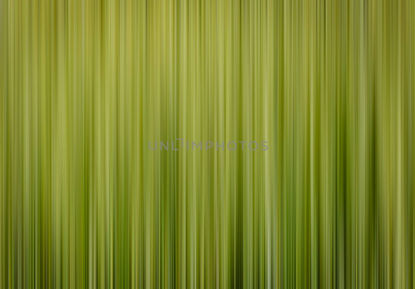 abstract background Vertical spring green blurred background