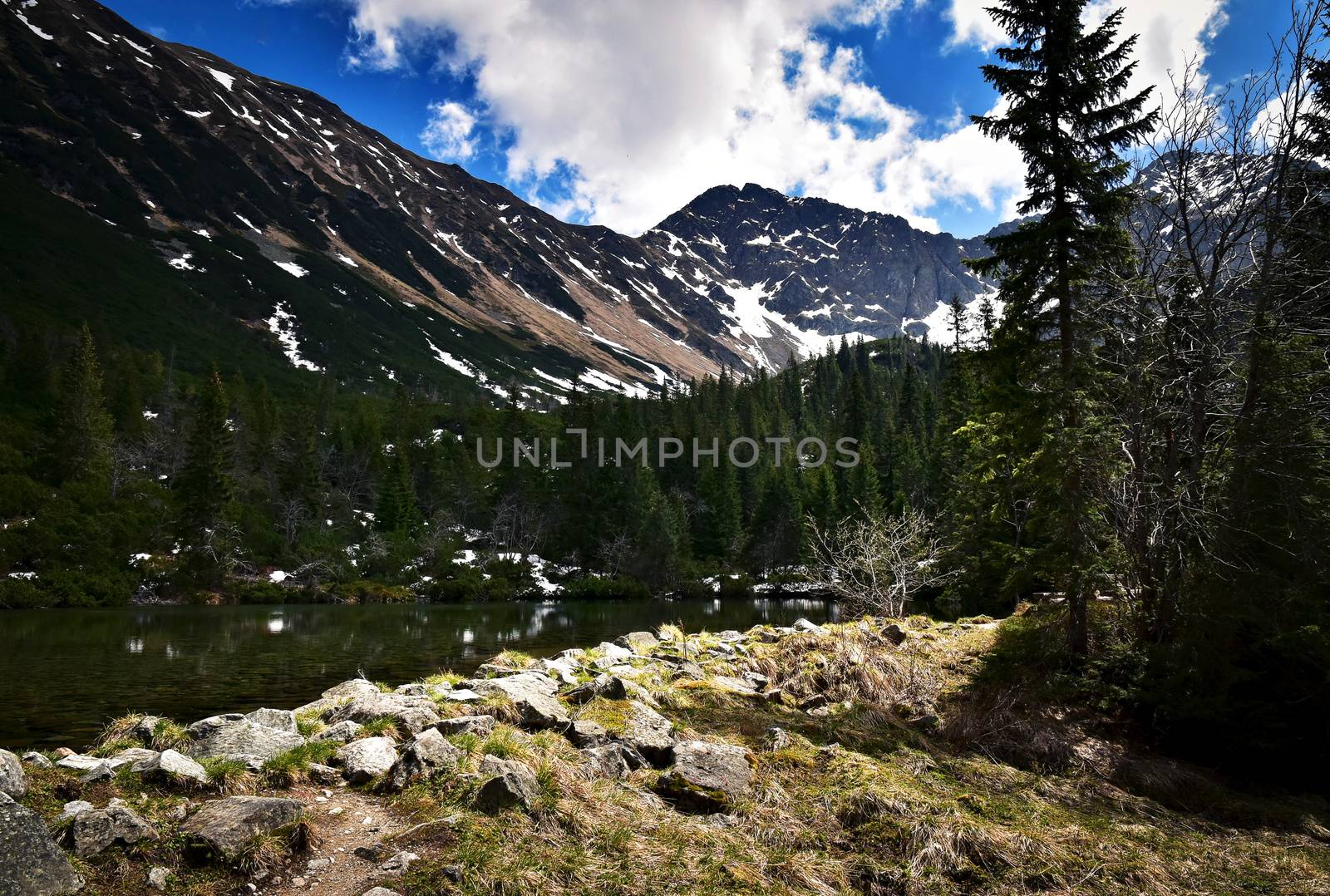 nature landscape background the arrival of spring in the high mountains