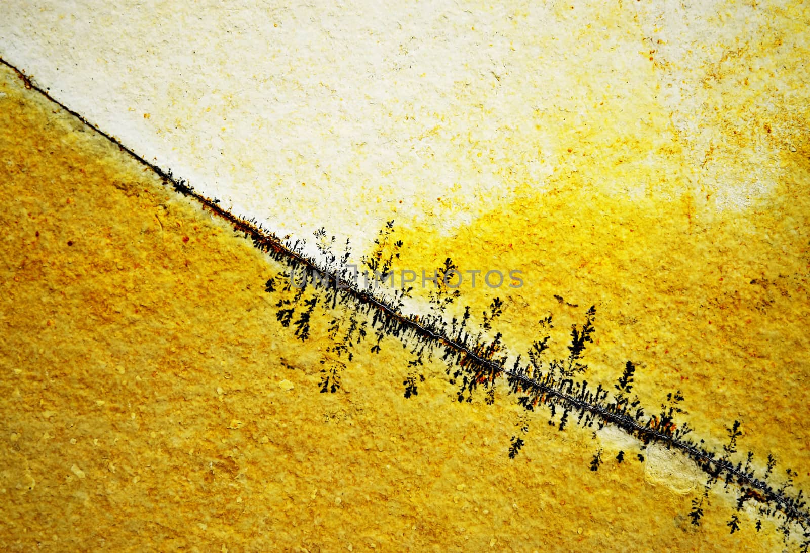 background or texture abstract crack line on the orange rock