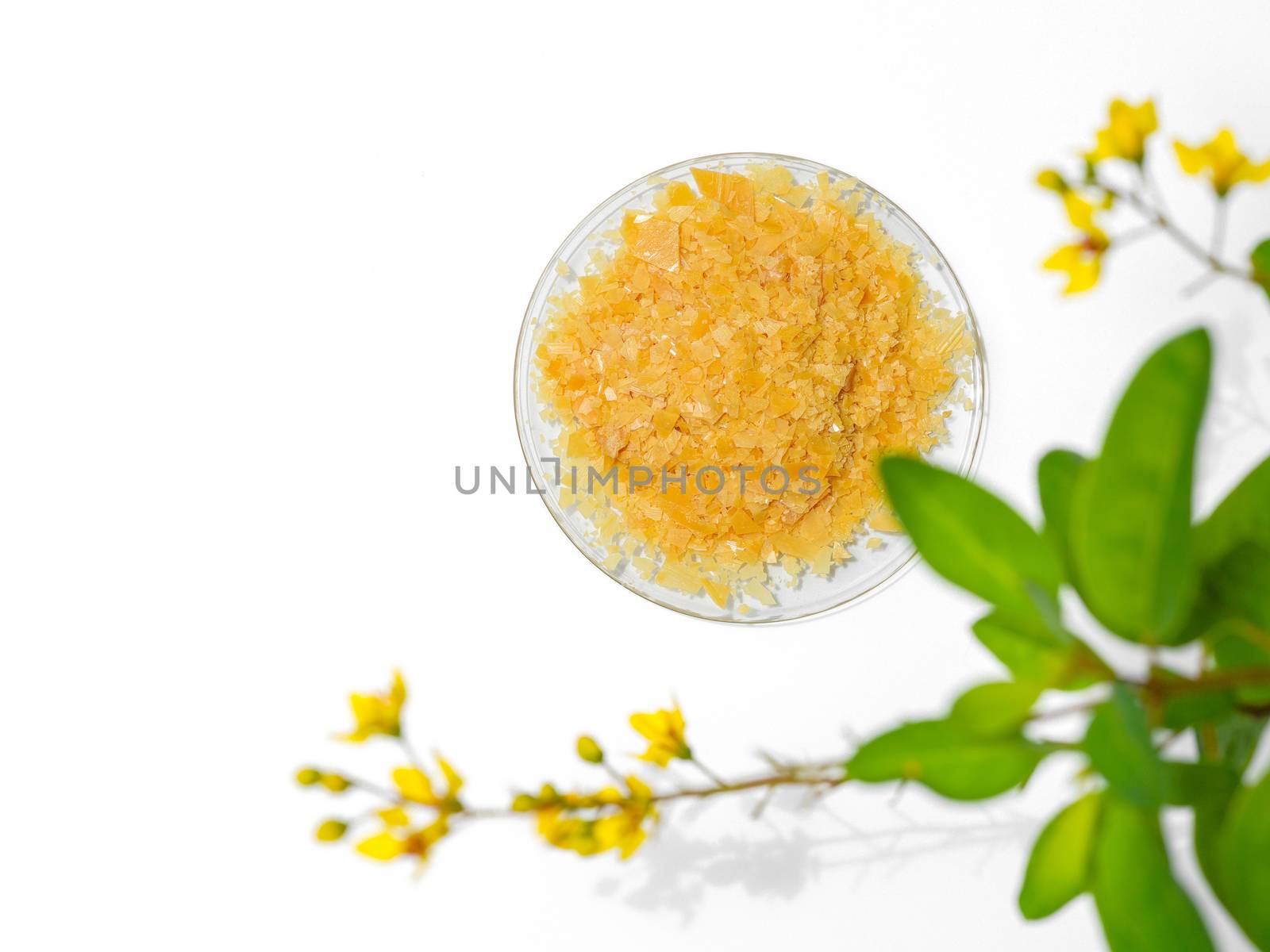 Organic Carnauba Wax comes in the form of hard yellow flakes by chadchai_k
