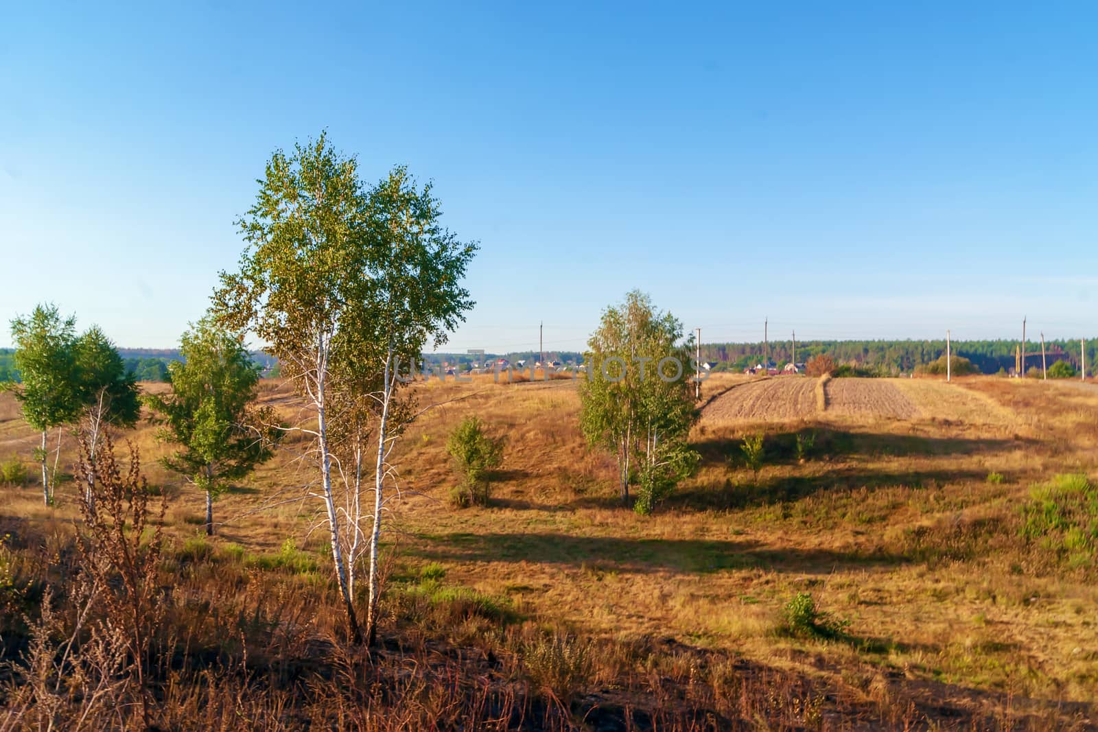 Warm autumn morning, trees, meadow and blue sky