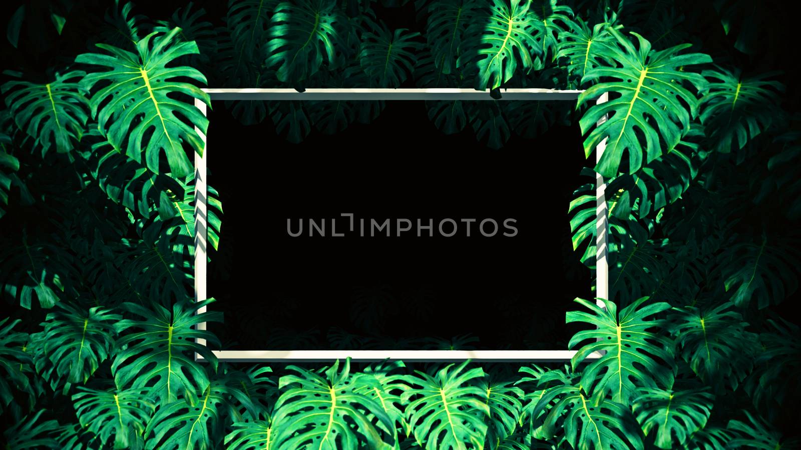 The Jungle In Swiss Cheese Plant Frame by urzine