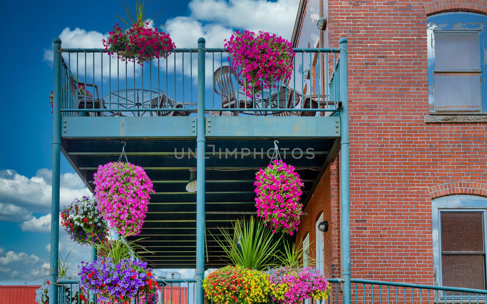 Flowers in hanging pots from metal balconies