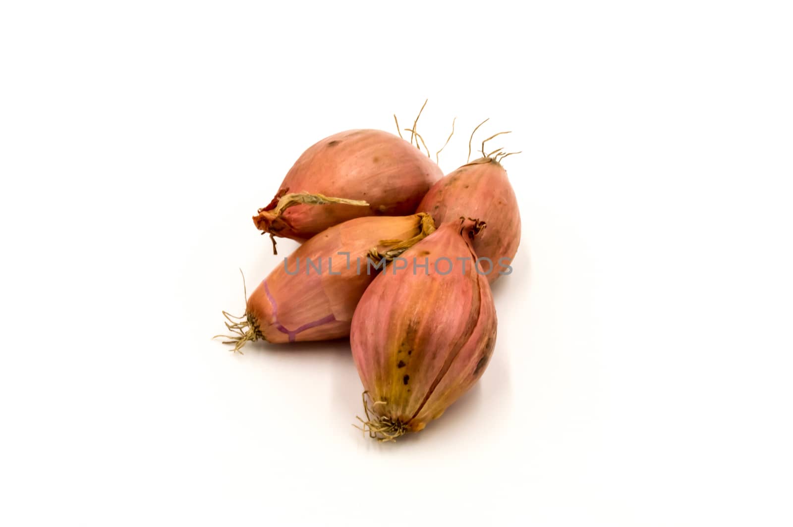 Vegetables: several shallots isolated on white background